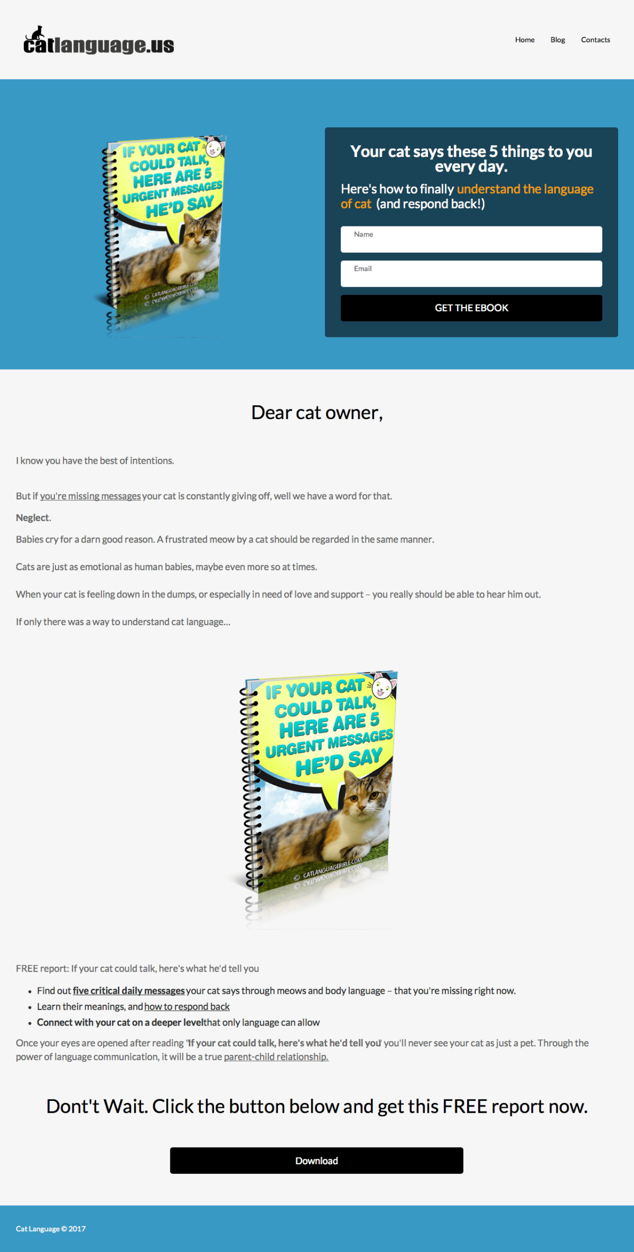 Cat Language ejemplo - Diseño de MailerLite