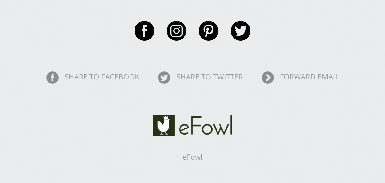efowl newsletter footer showing social media sharing icons buttons in black monochrome