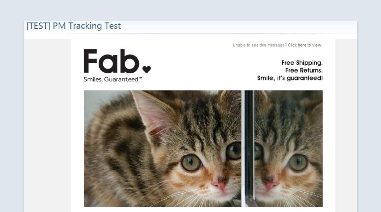 email marketing mistakes - random cat email mistake from FAB