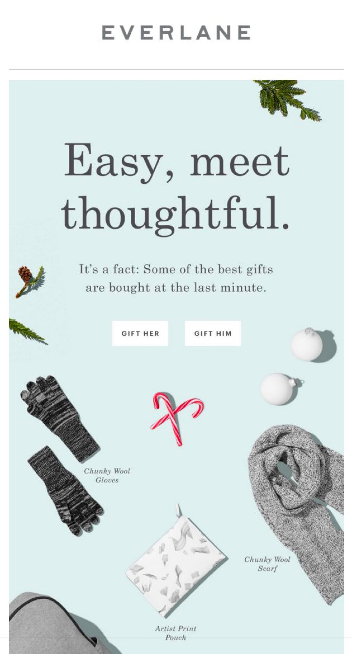 Everlane Christmas newsletter example mint background winter accessories