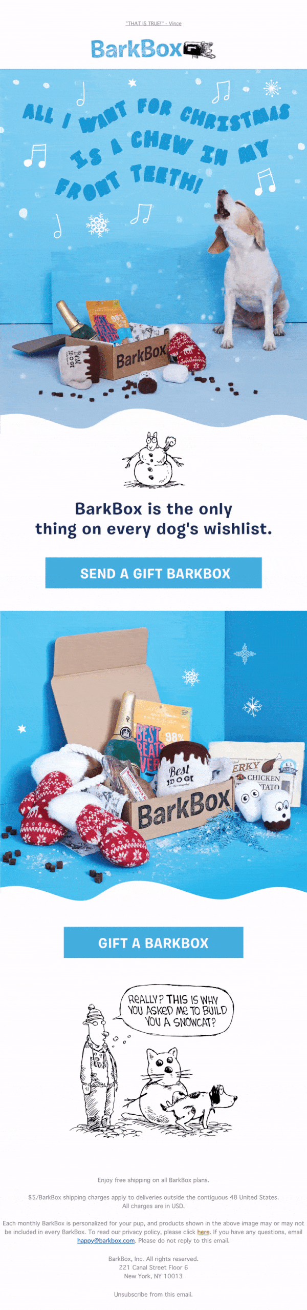 BarkBox Christmas newsletter with blue background and a howling beagle