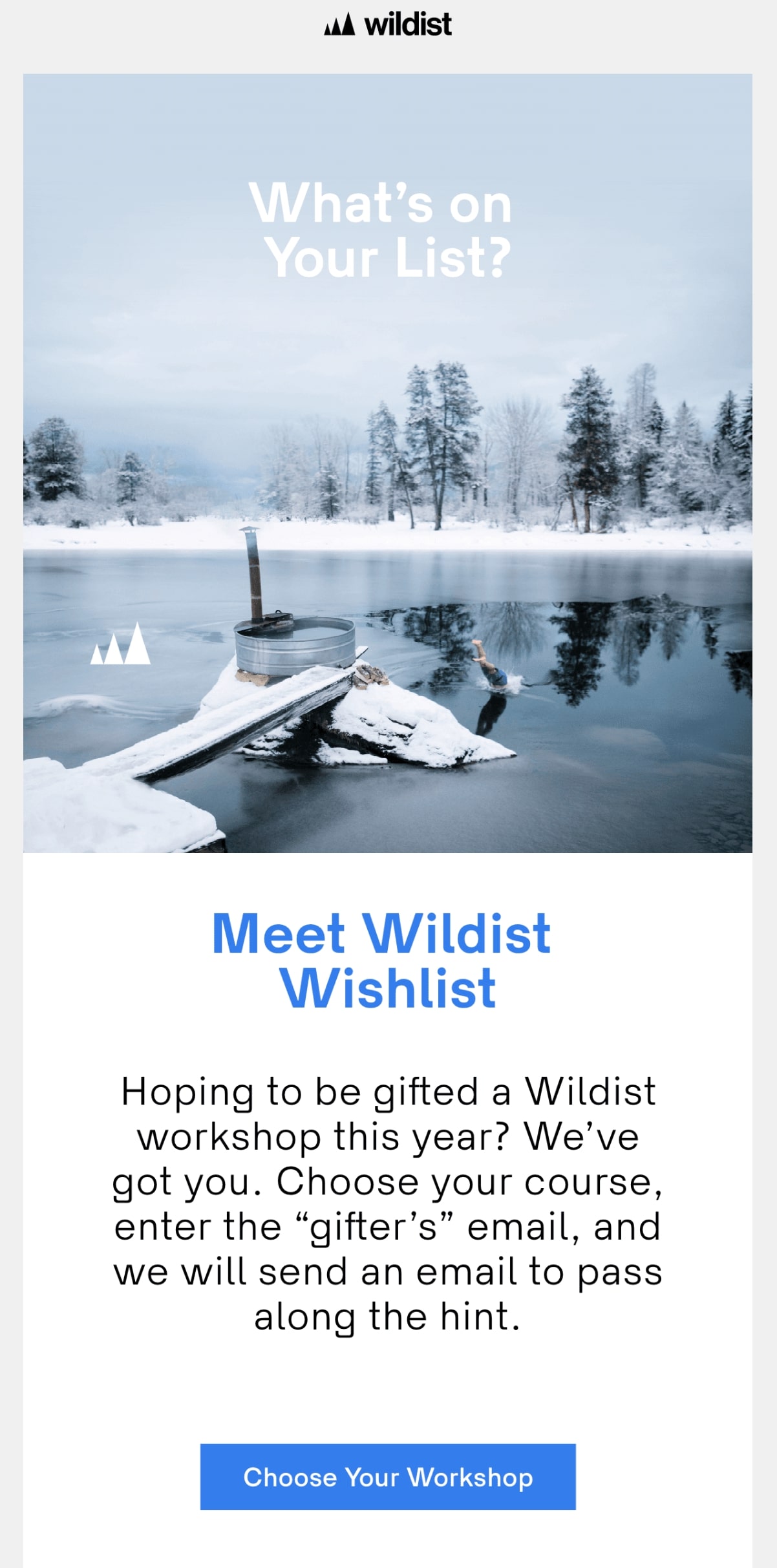 Wildist wishlist email forwarding example