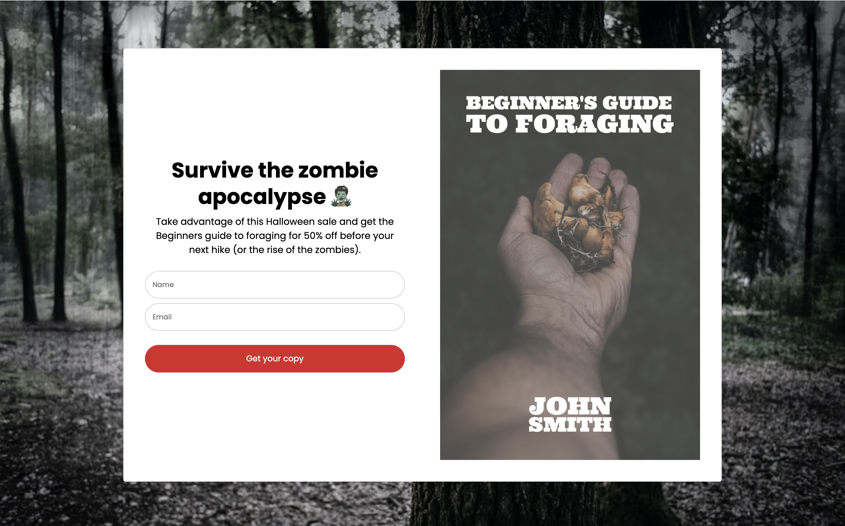 Halloween-themed landing page created in MailerLite