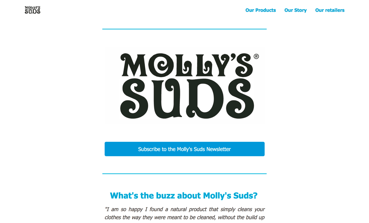 mollys suds landing page with clear call to action minimal design