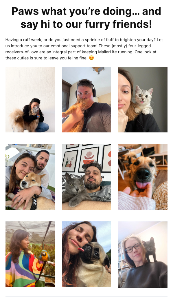 Pet photo email ideas