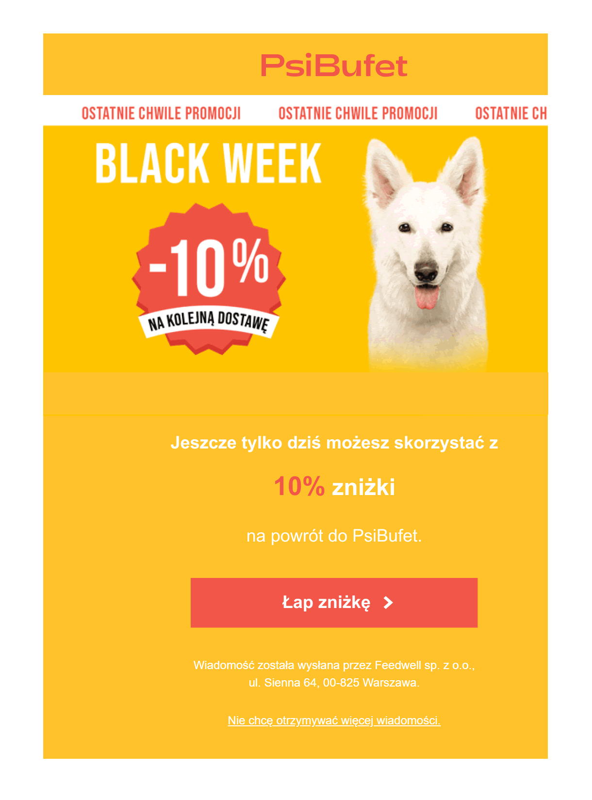 Psi Bufet e-mail na Black Friday