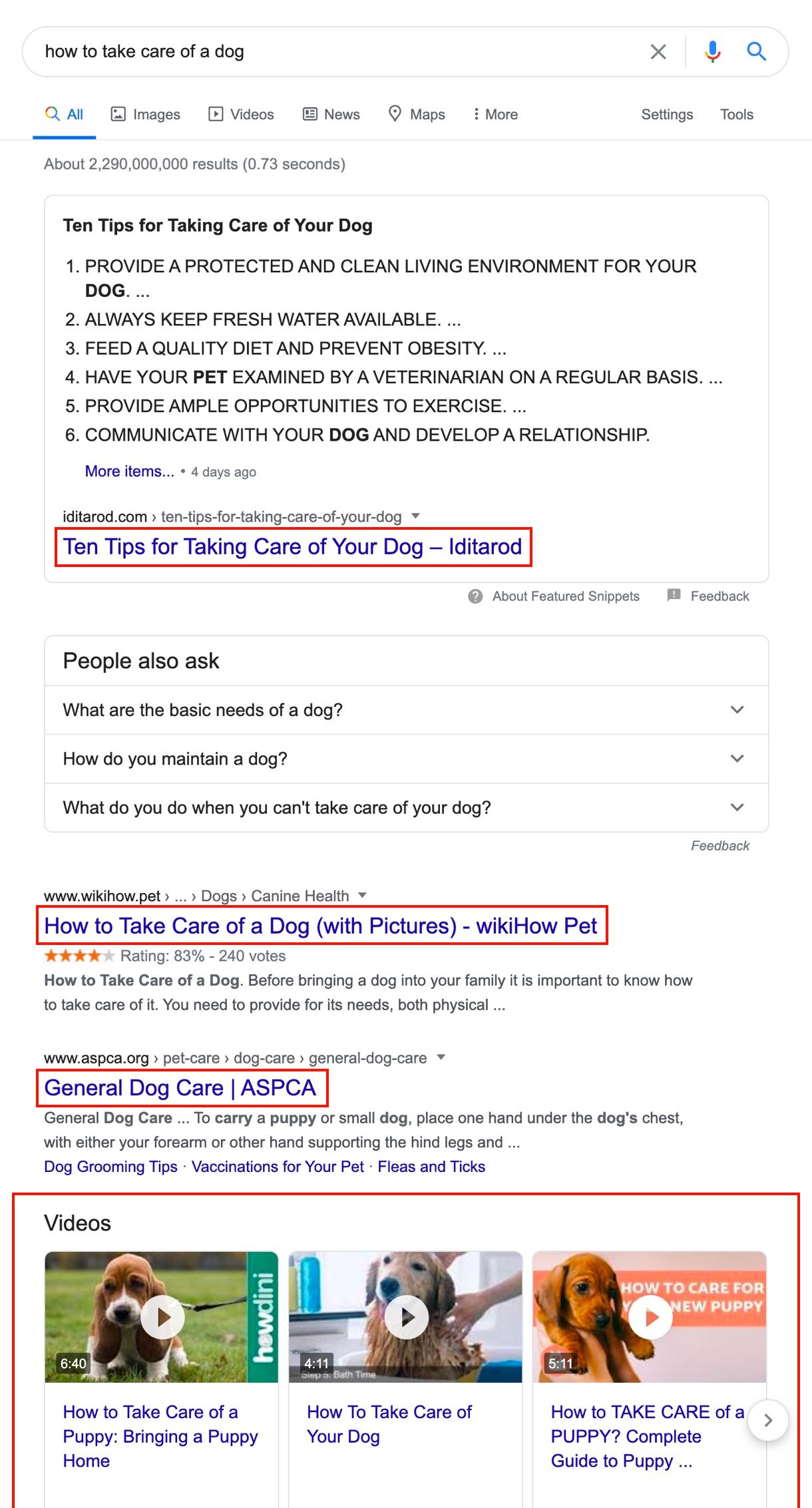how to take care of a dog search engine result page