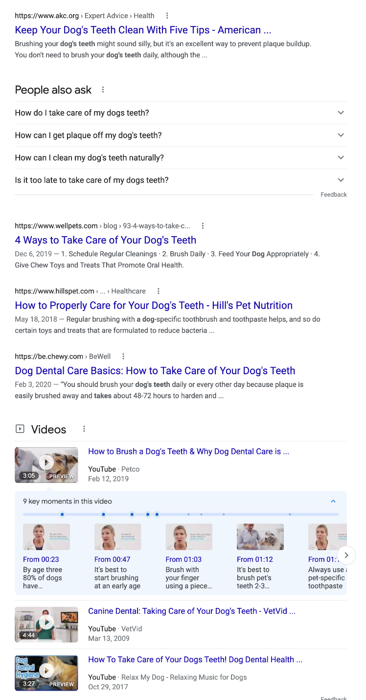 Google search result taking care of dogs teeth