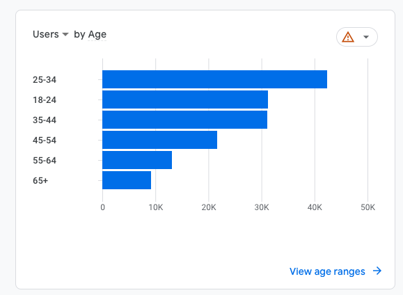 User demographics report in Google Analytics