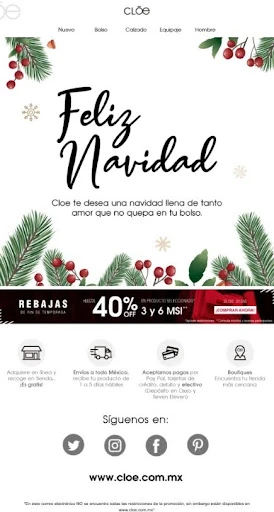 ejemplo de newsletter de navidad