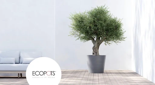 Nicho de mercado: Todo lo que debe saber una empresa antes de invertir