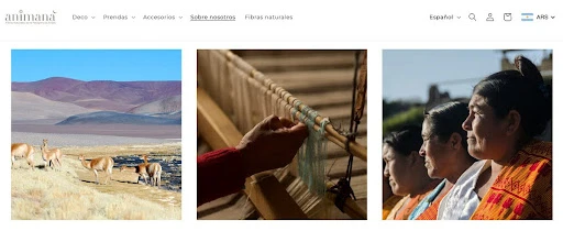 Nicho de mercado: Todo lo que debe saber una empresa antes de invertir