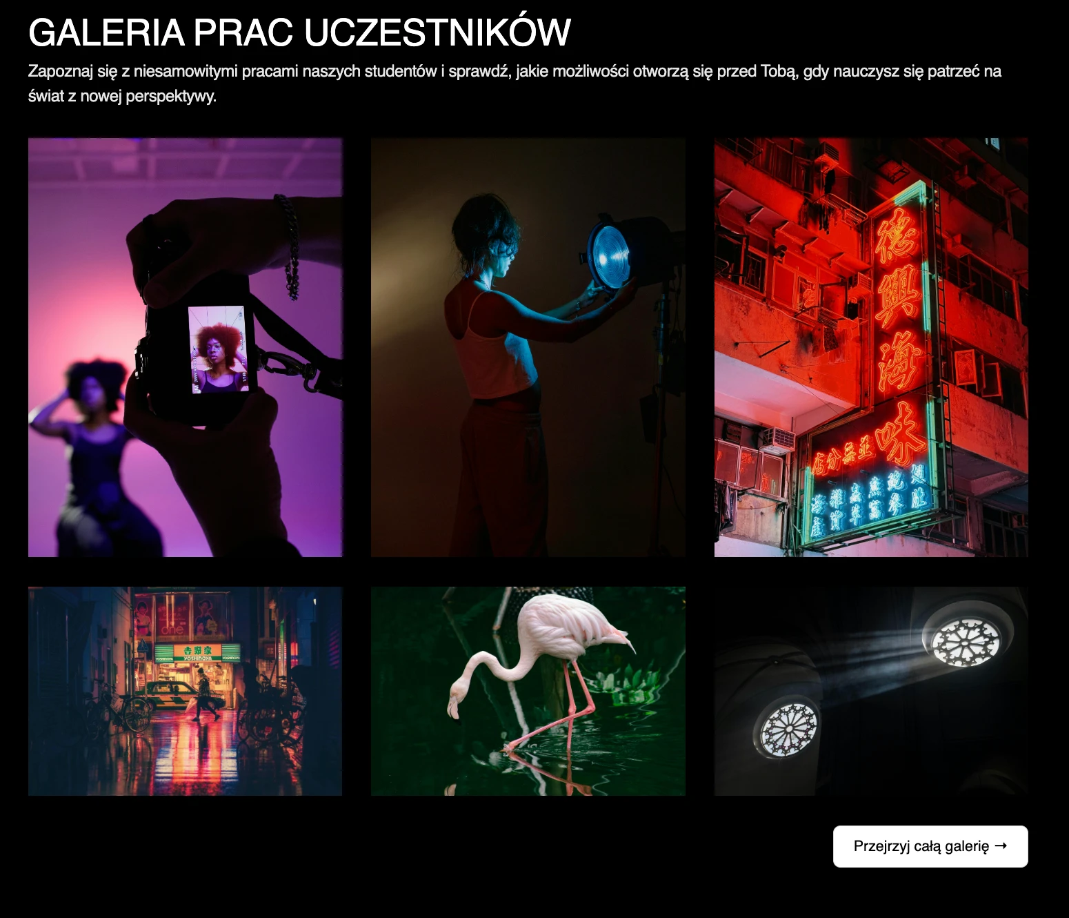 Zrzut ekranu landing page'a na Black Friday z social proof
