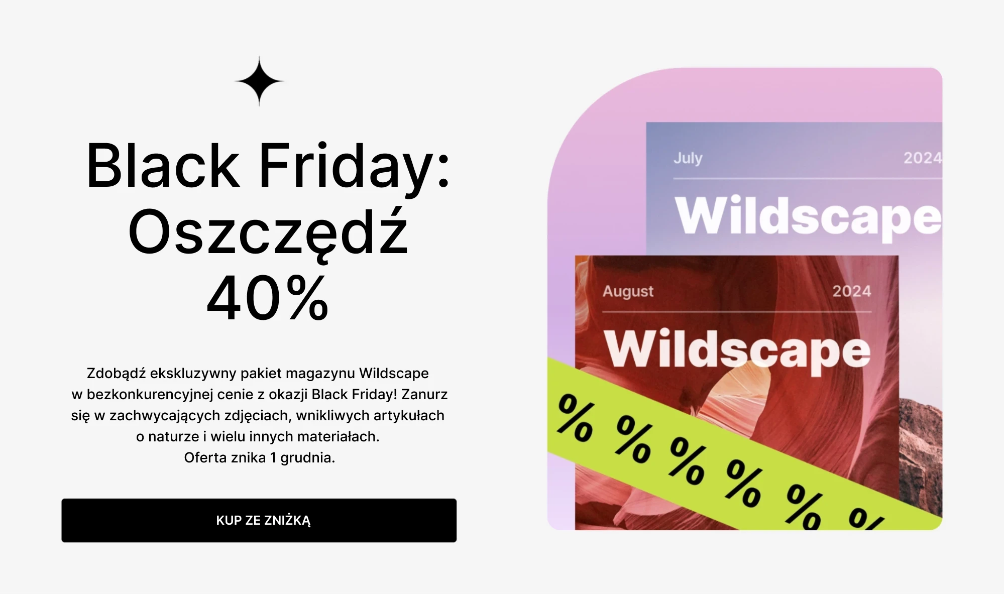 Zrzut ekranu nagłówka landing page'a na Black Friday