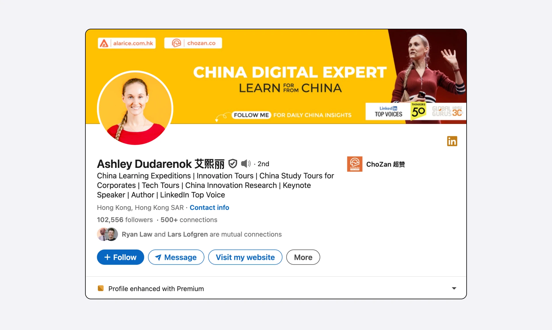 Ashley Dudarenok's LinkedIn profile