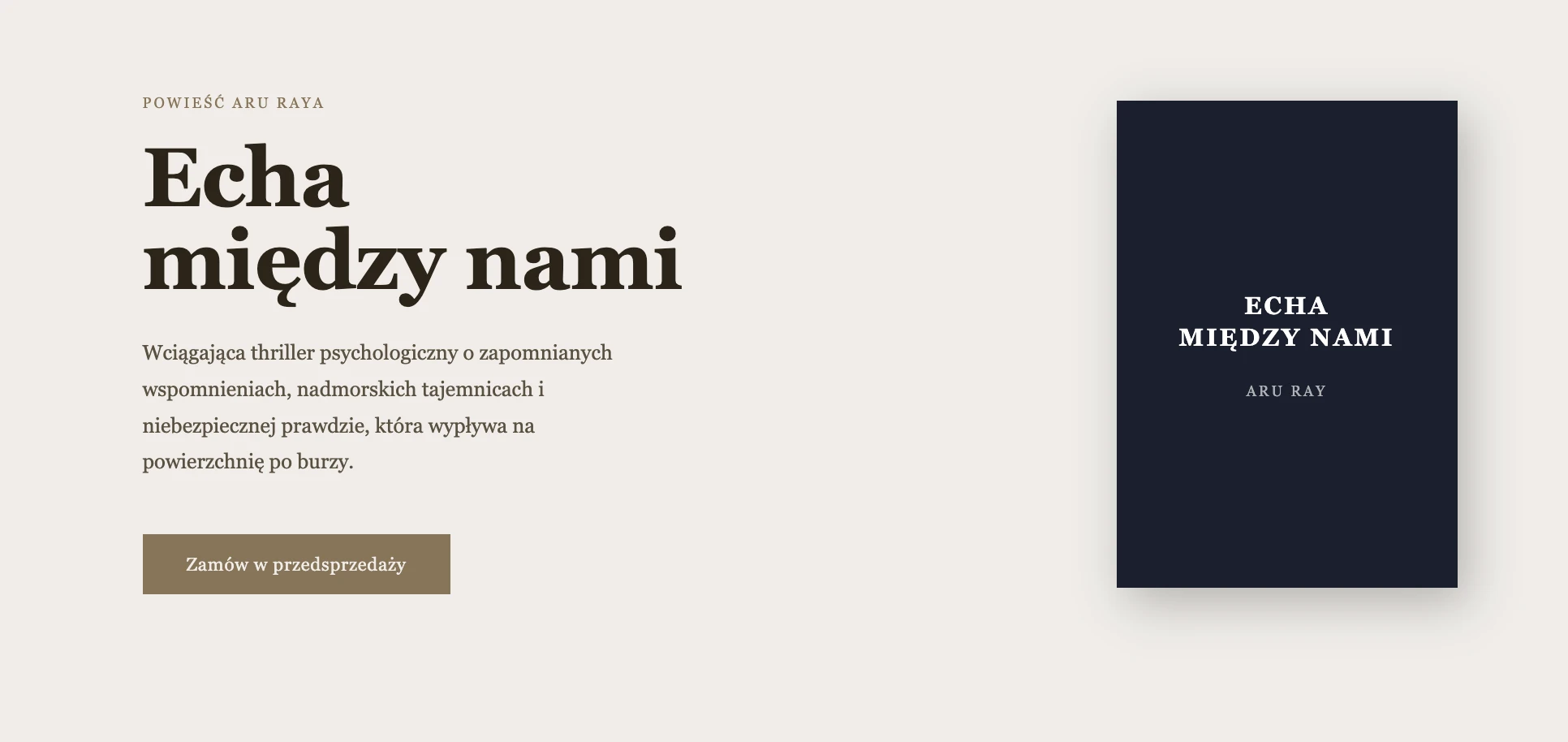 Zrzut ekranu sekcji hero stworzonej w MailerLite