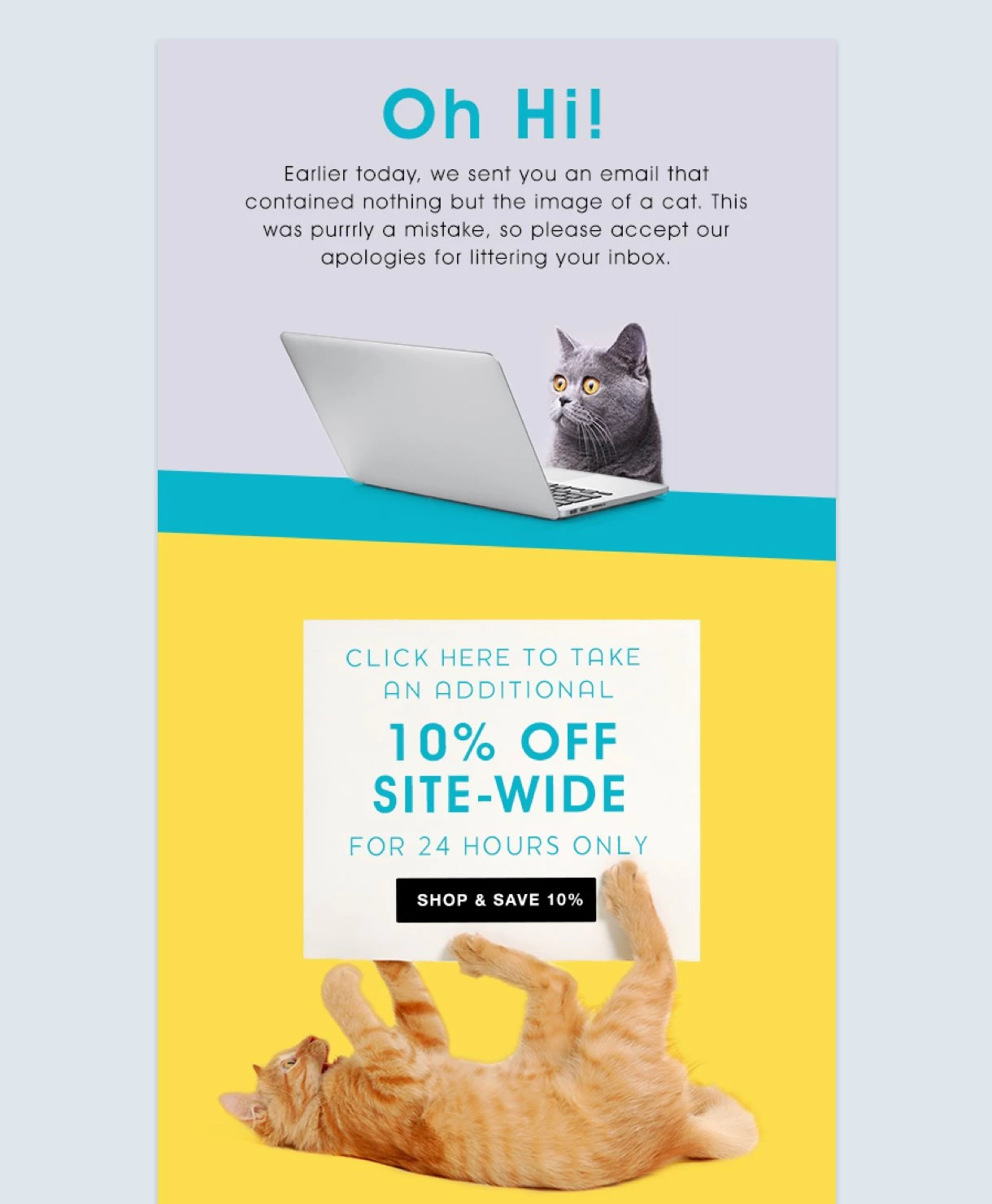 email marketing mistakes - funny apology email mistake example from fab