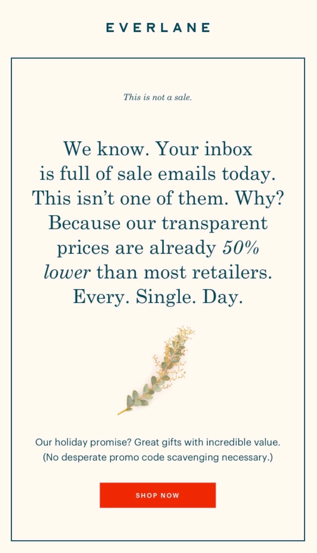Everlane Cyber Monday email