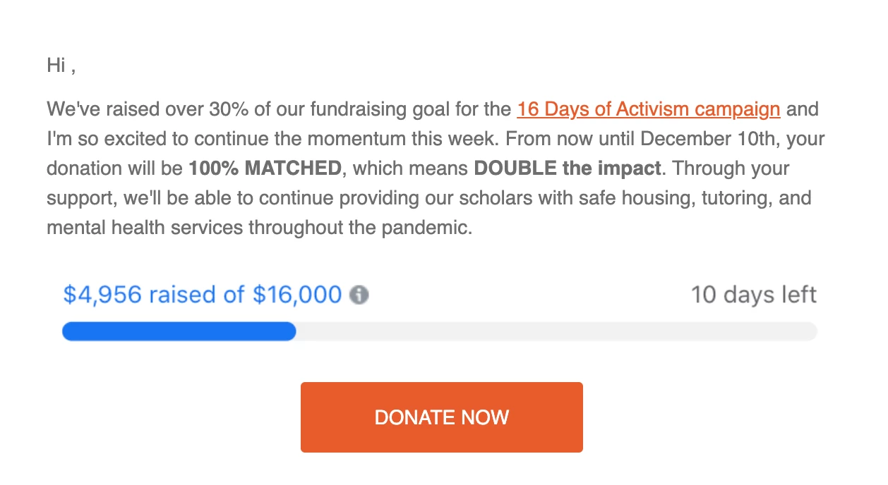 Fundraising milestone progress nonprofit newsletter example