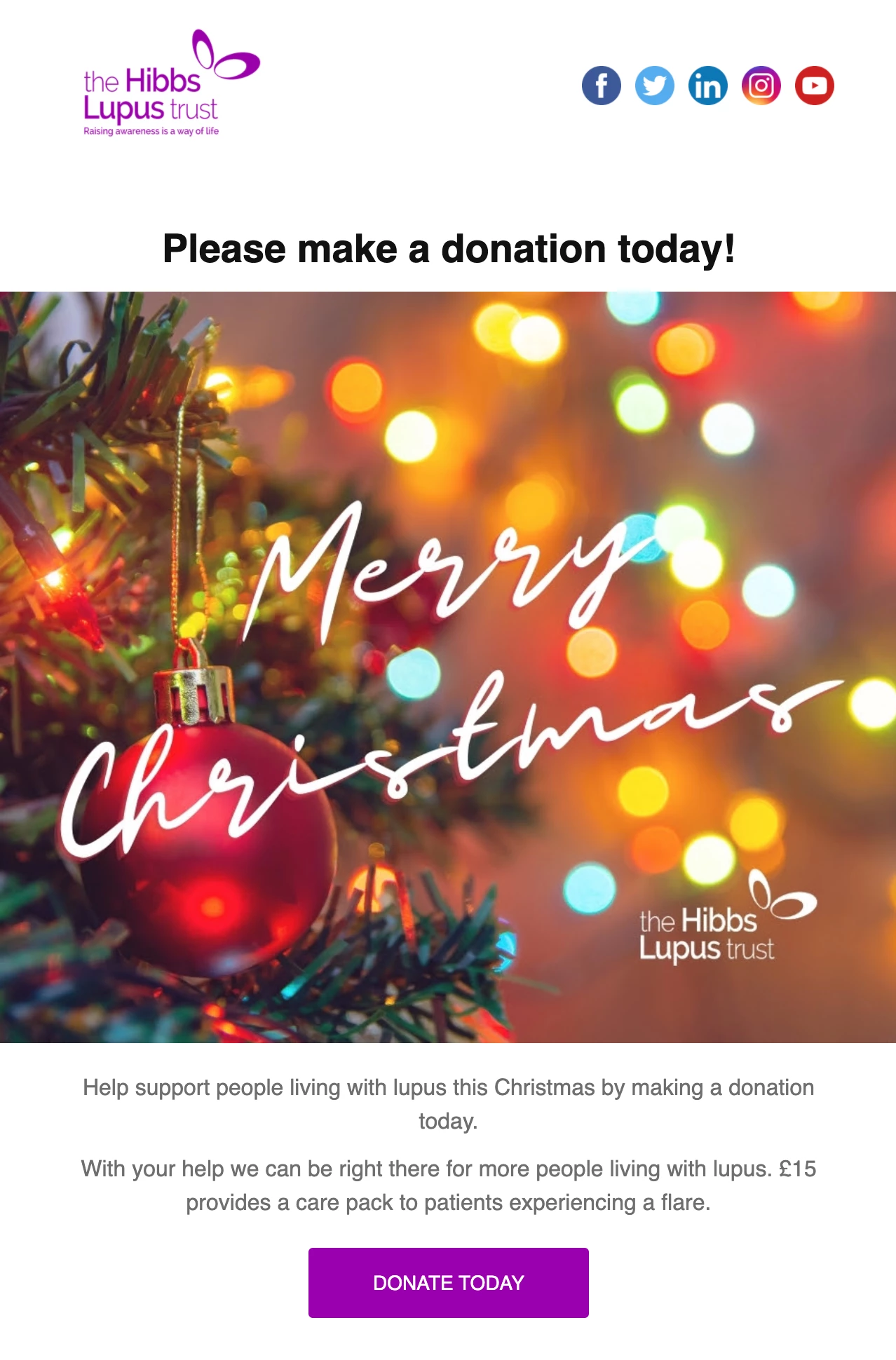 Hibbs Lupus Trust nonprofit email example