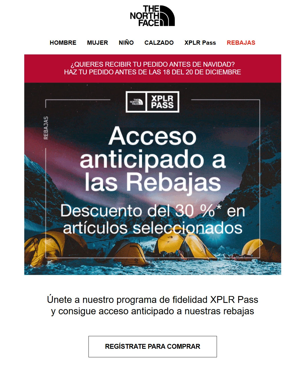 ejemplo de newsletter de tienda departamental