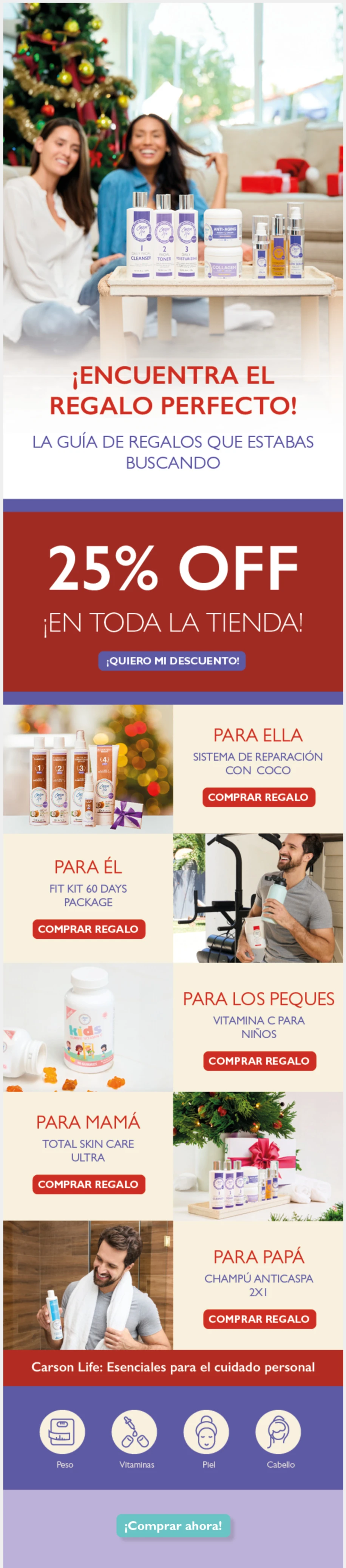 ejemplo de newsletter de Navidad