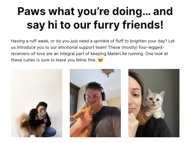 Screenshot of our weekly newsletter showing our furry friends