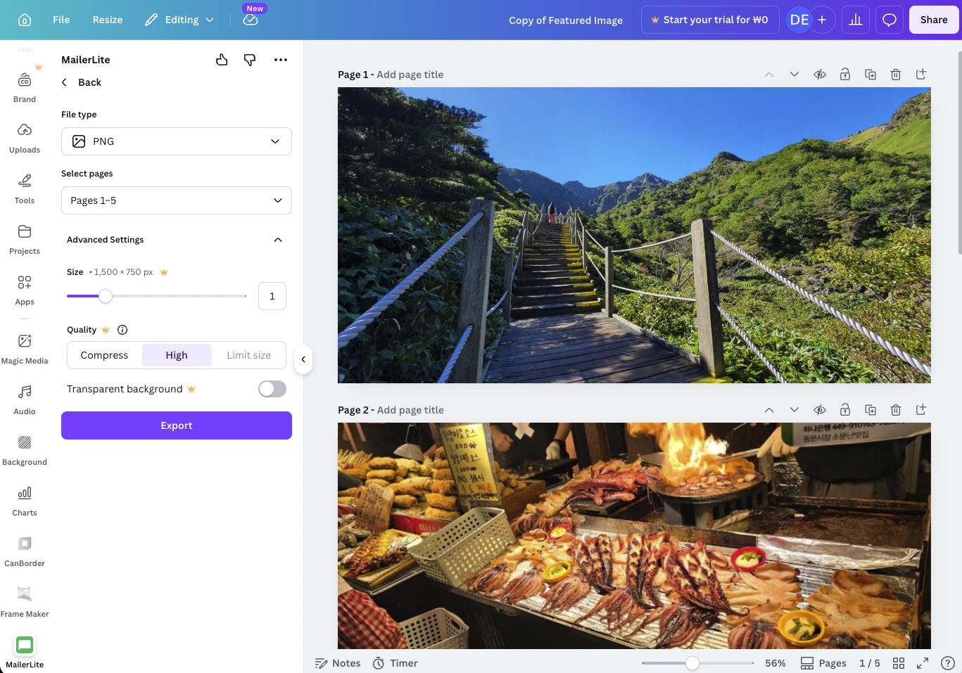 MailerLite Canva integration