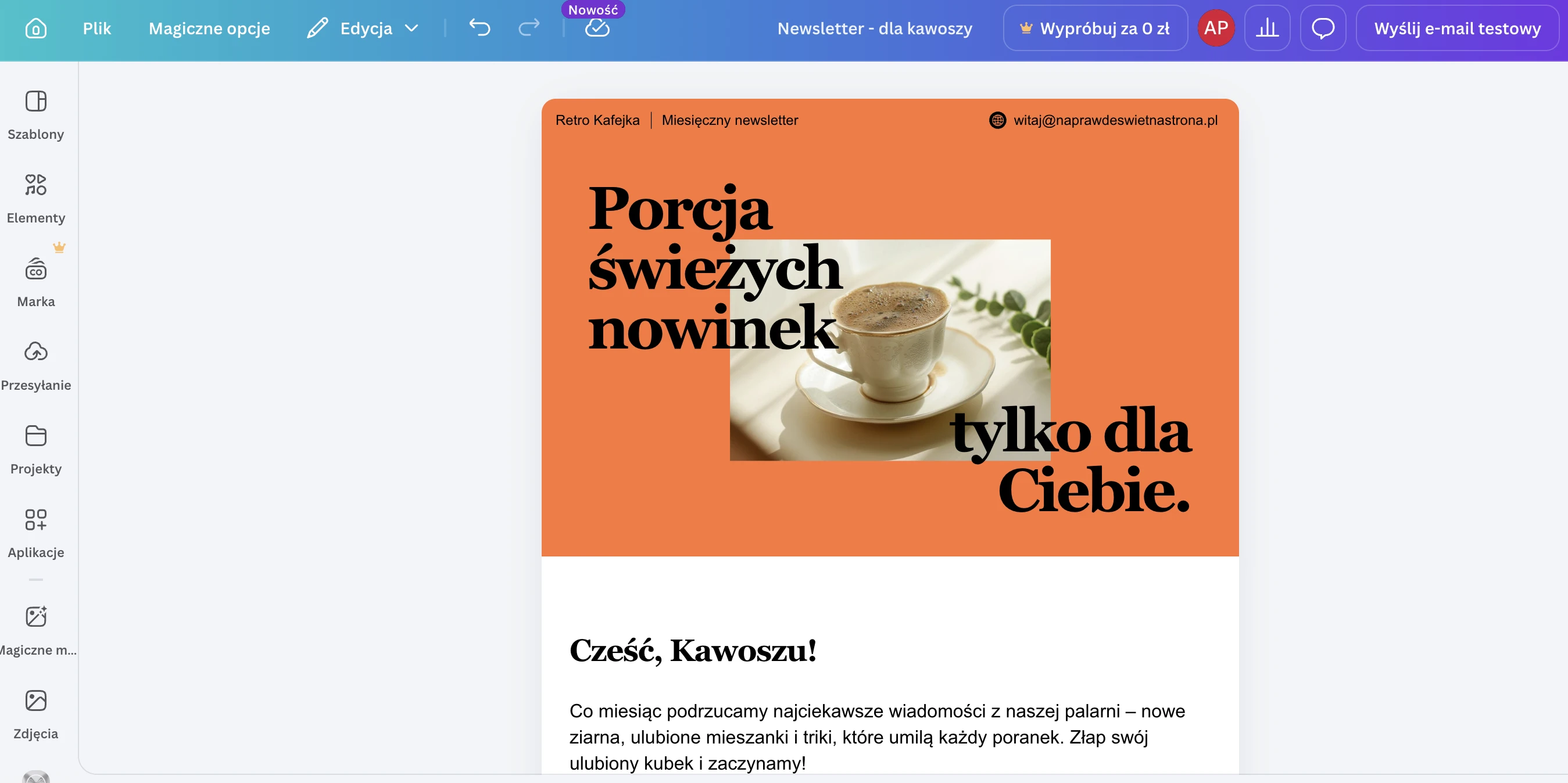 Przykład newslettera zbudowanego w Canvie
