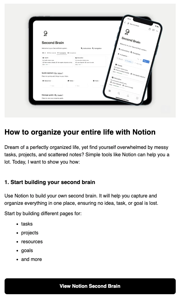 Notionway email template example