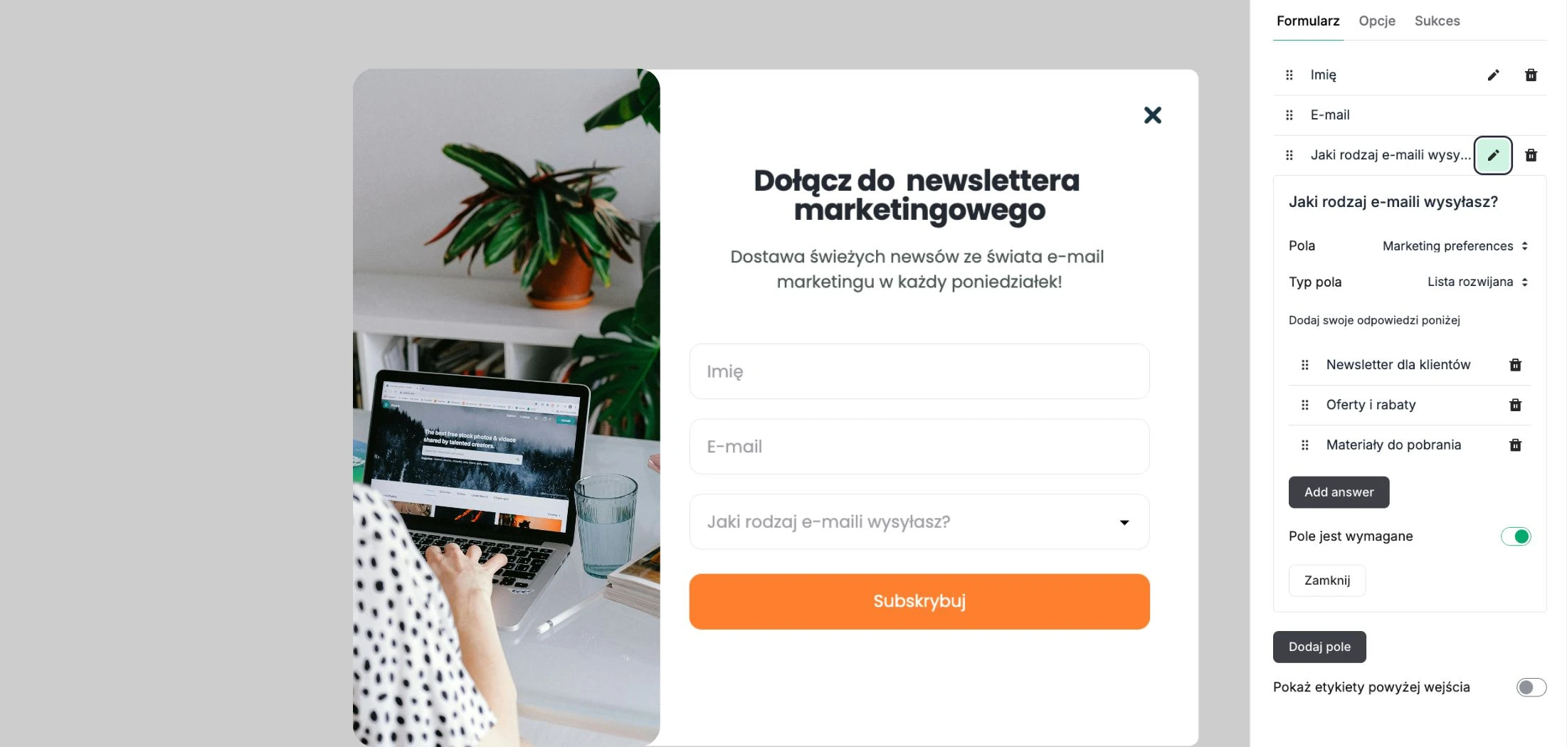 Screenshot prezentujący ustawienia formularza zapisów