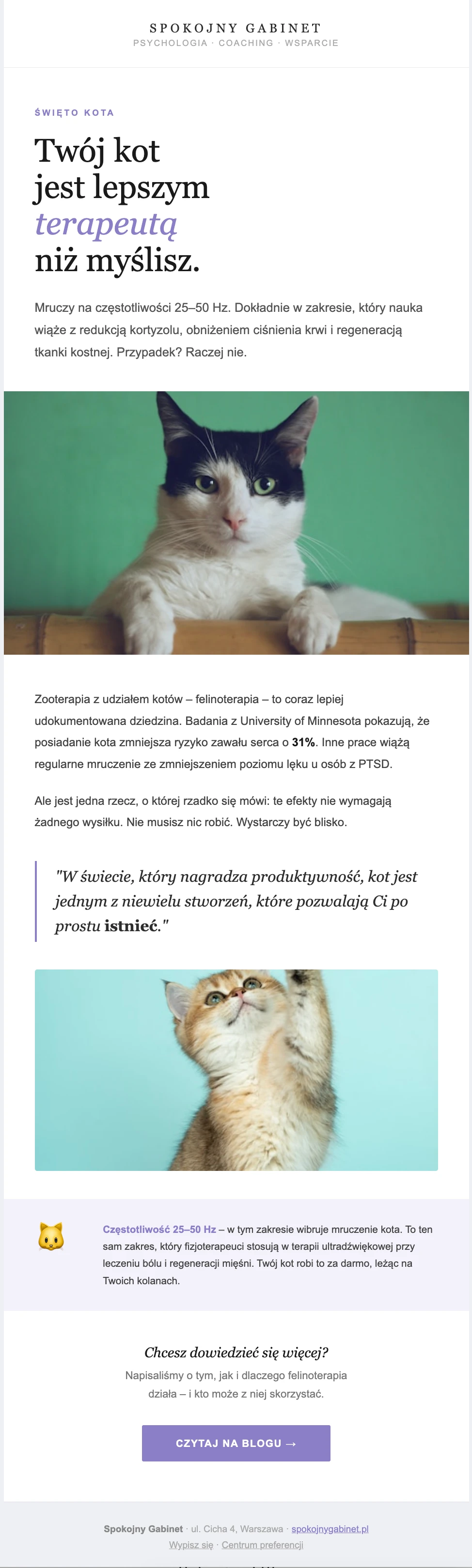 Przykład newslettera na Dzień Kota