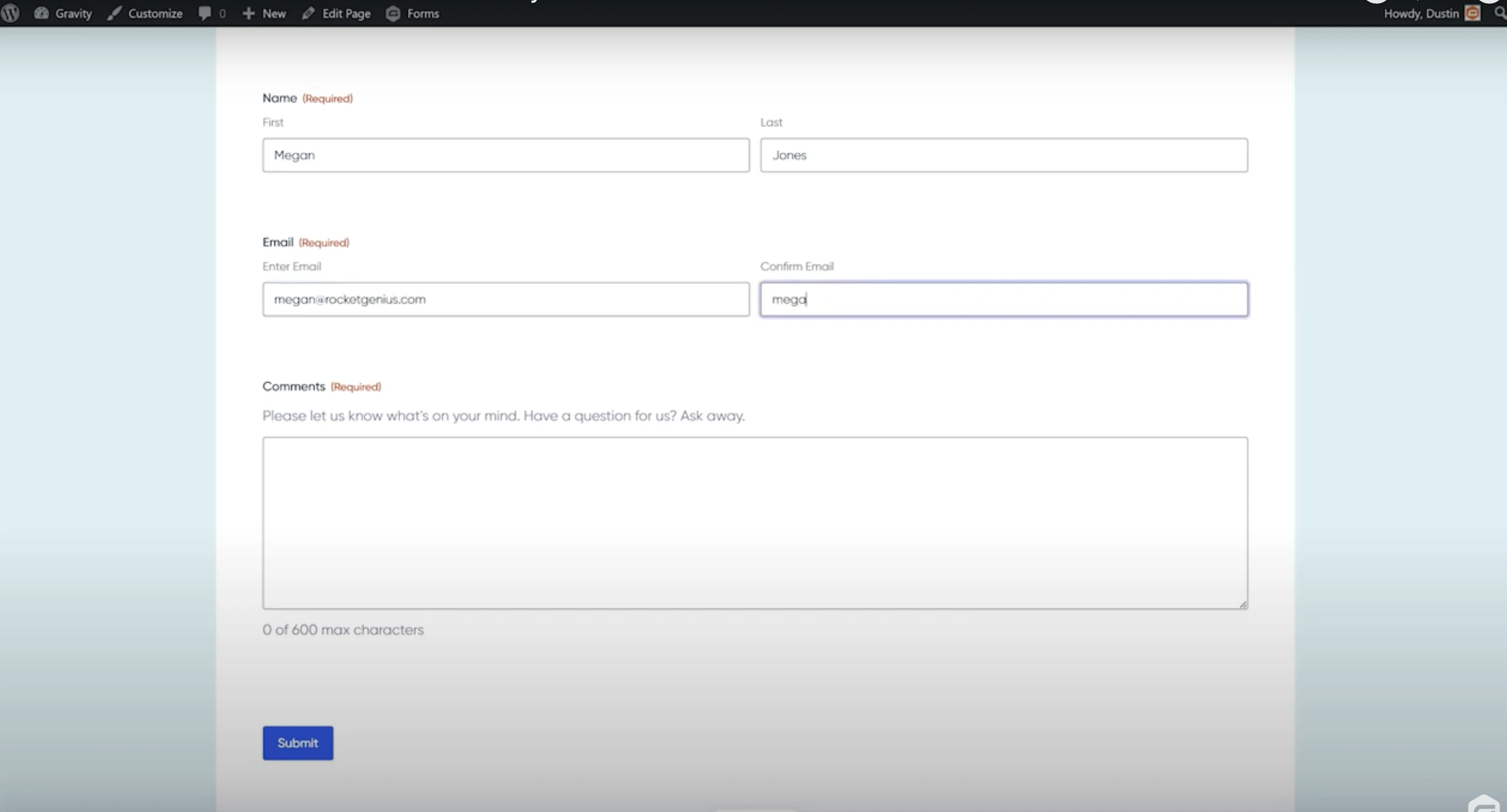 Gravity Forms preview on a website