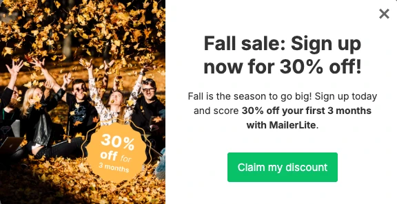 A well-designed MailerLite coupon