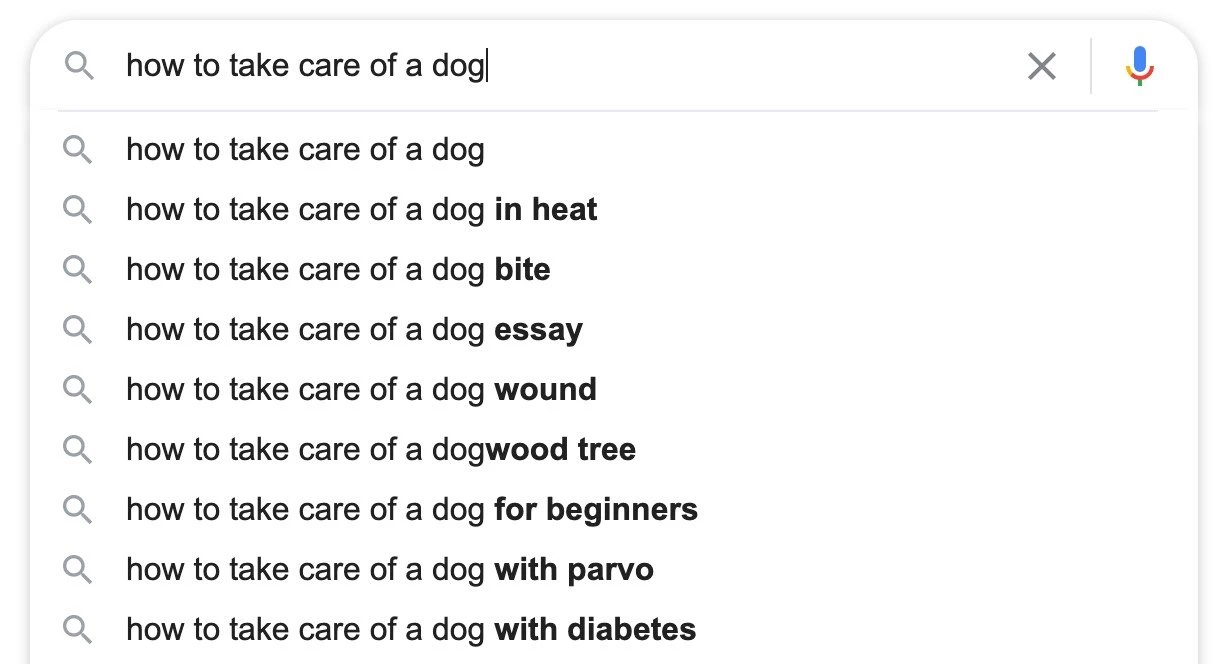 how to take care of a dog google search suggested queries