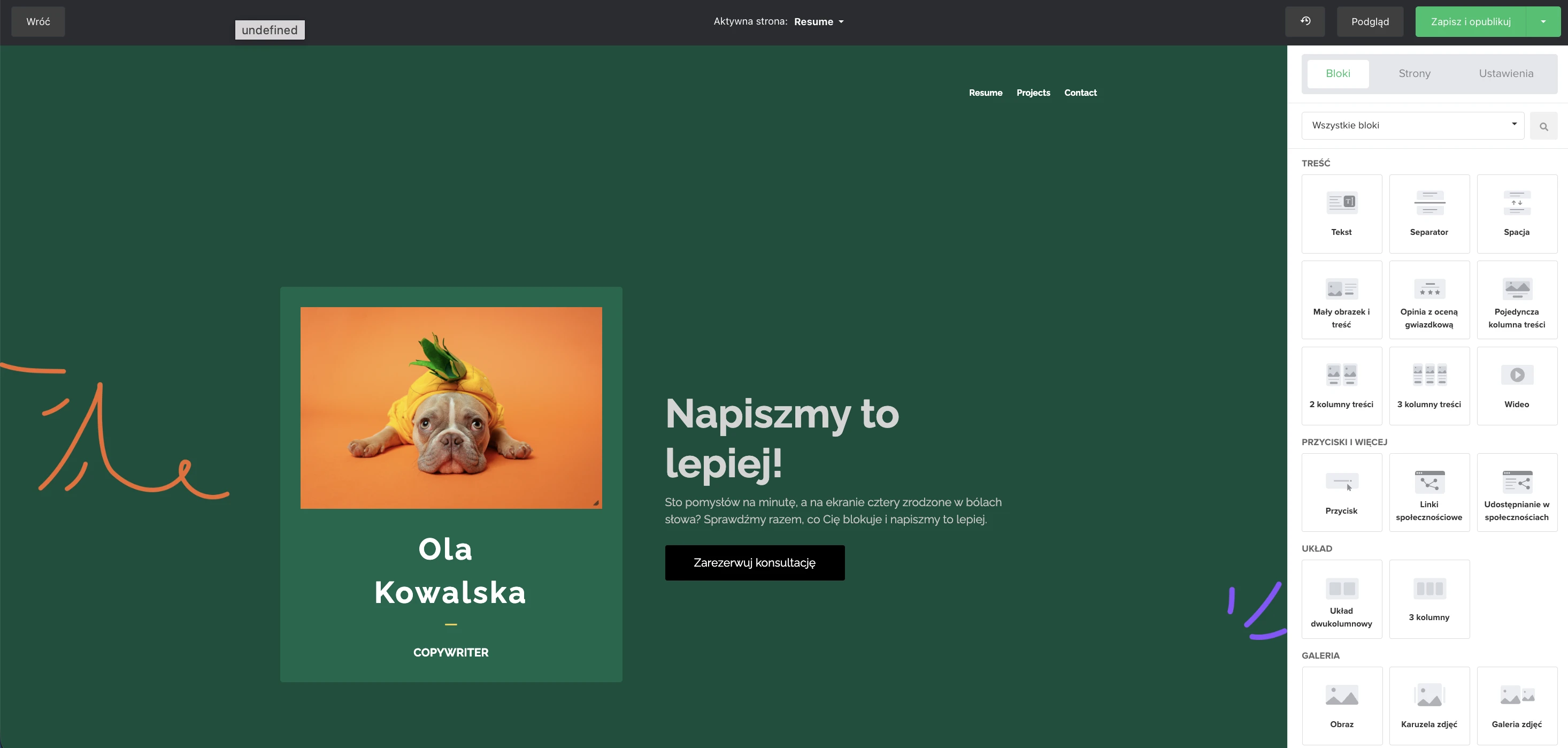 Zrzut ekranu kreatora stron MailerLite
