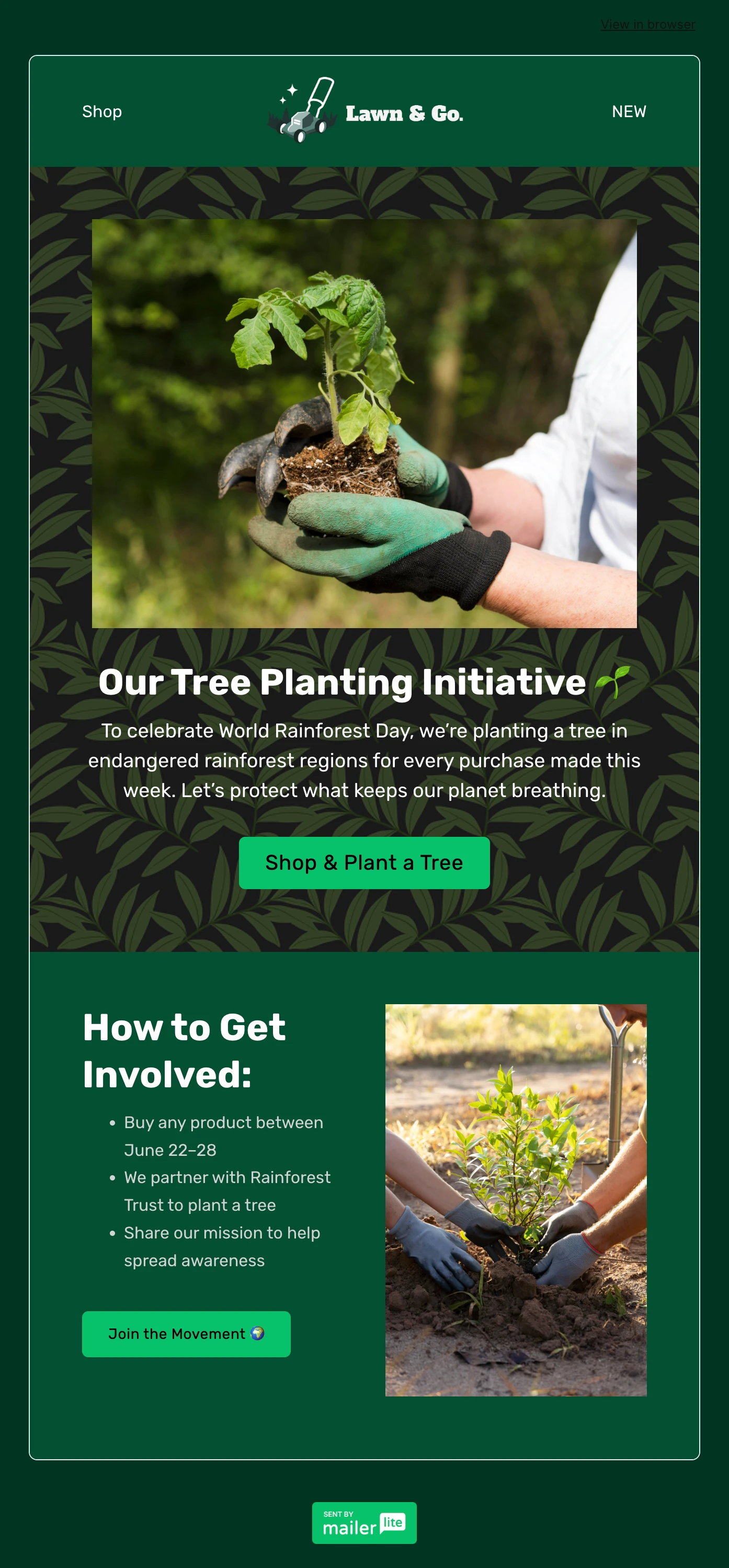 World Rainforest Day newsletter example 