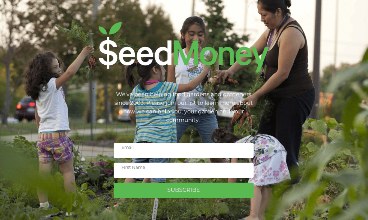 SeedMoney example - Made with MailerLite