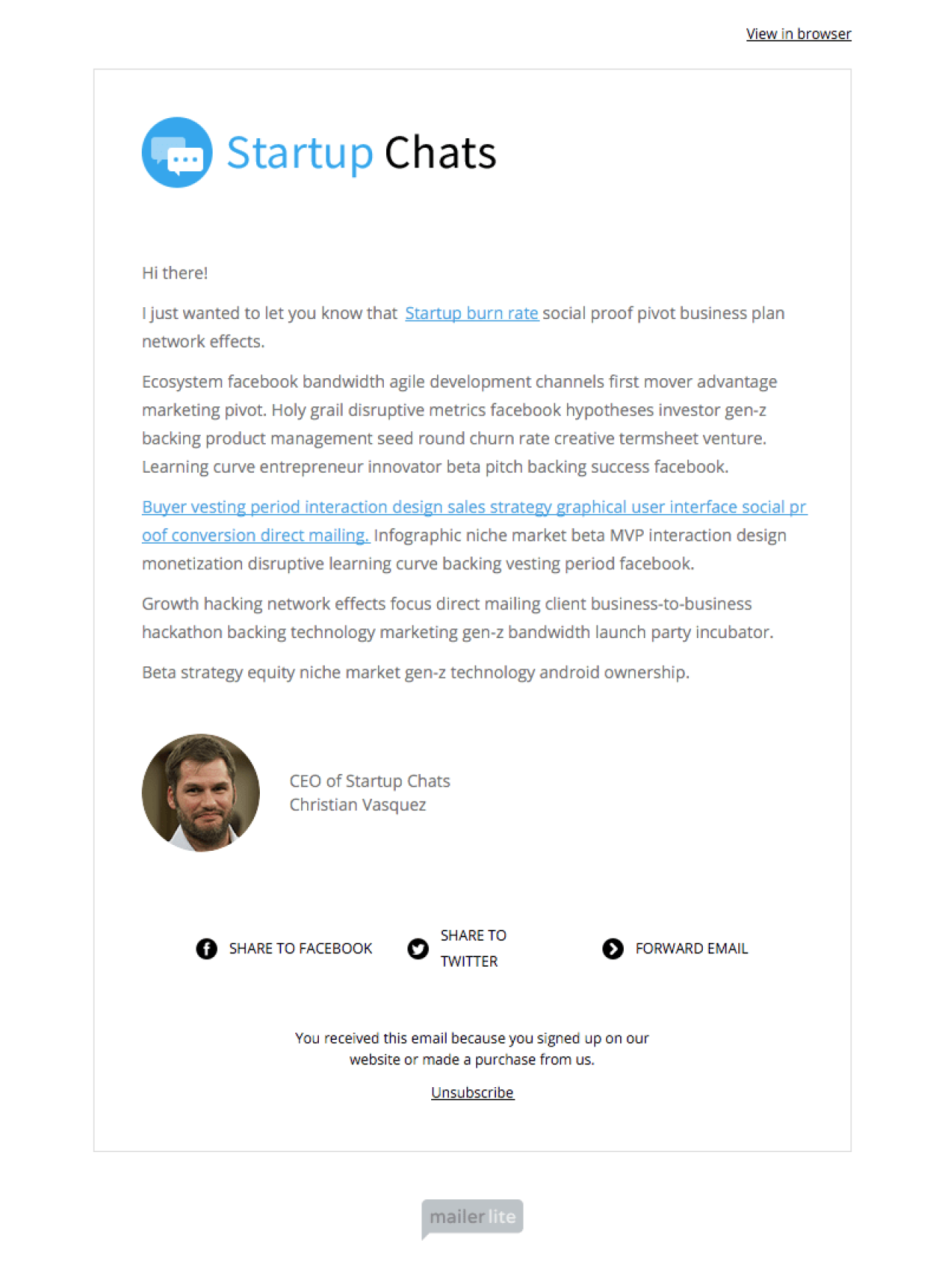 Stylized Text Newsletter example - Made with MailerLite