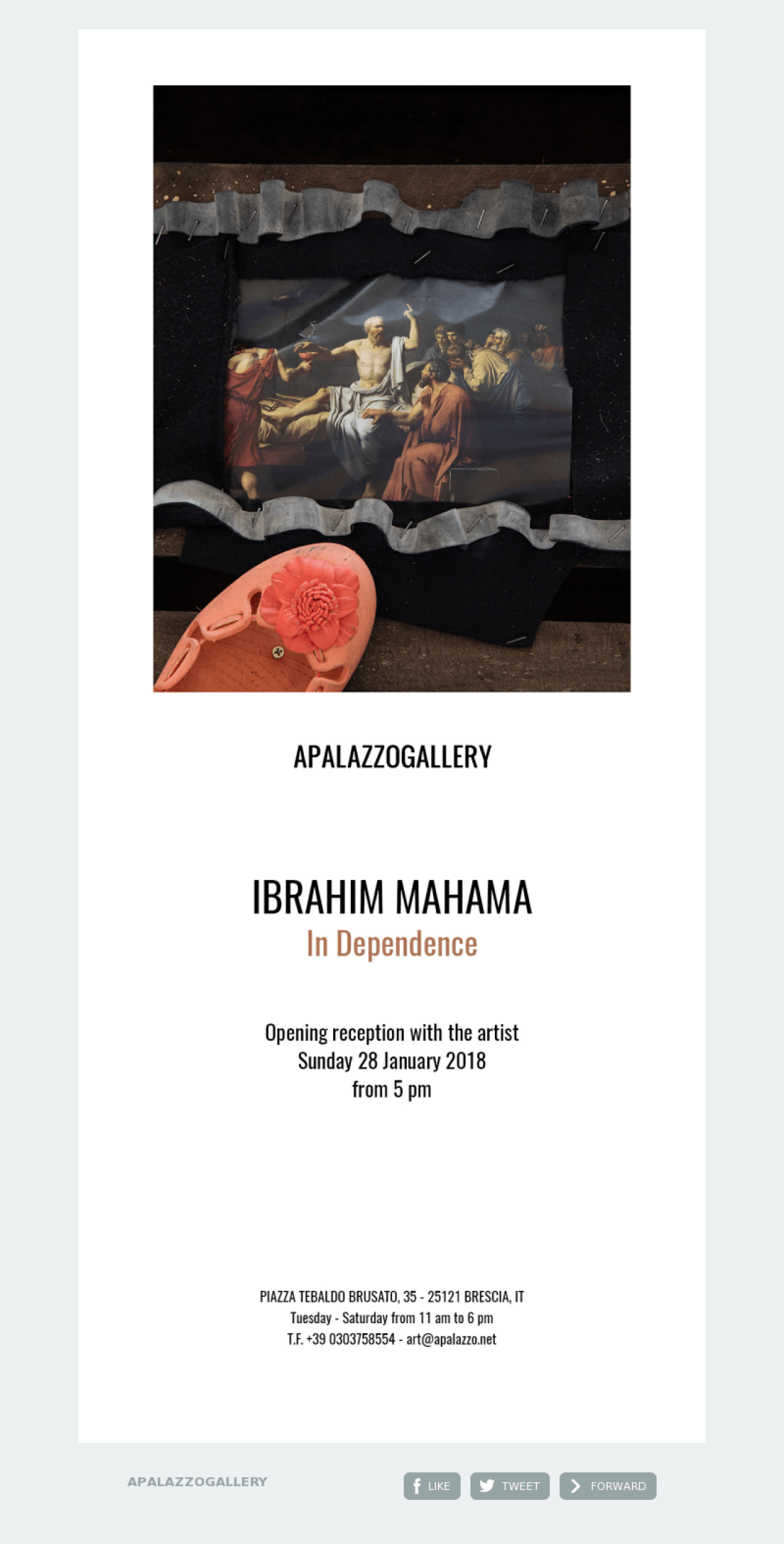 APALAZZOGALLERY example - Made with MailerLite
