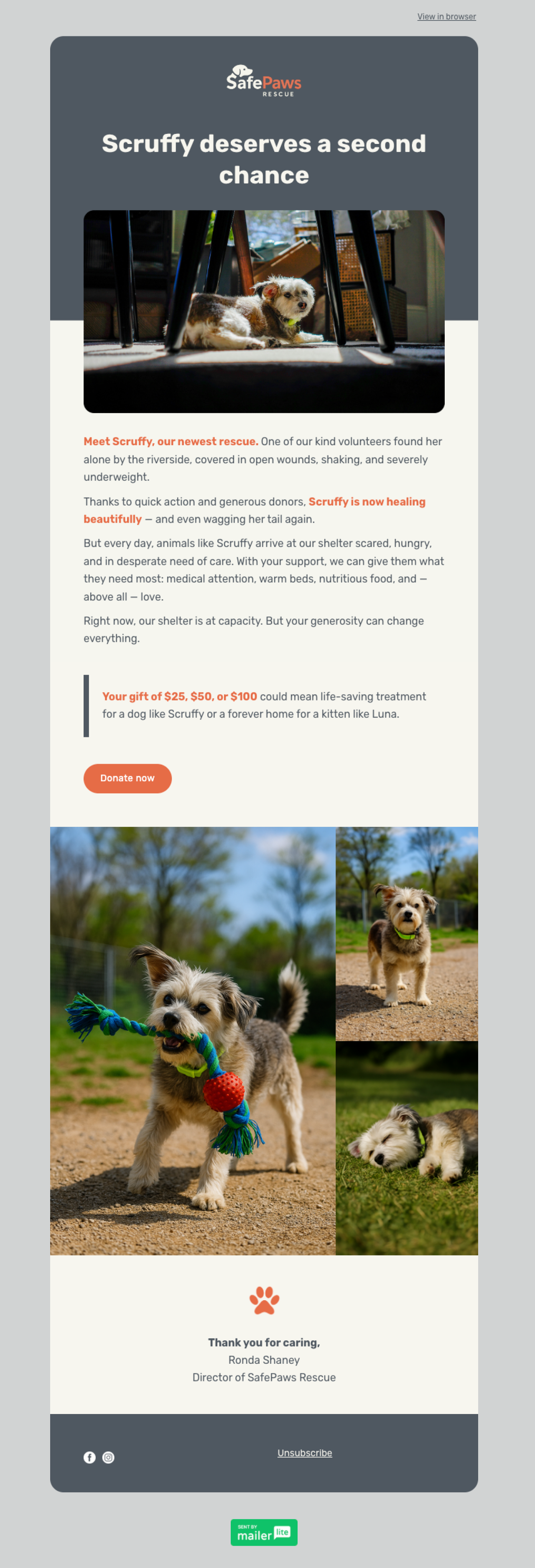 Animal shelter template - Made by MailerLite